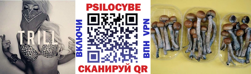 Псилоцибиновые грибы MAGIC MUSHROOMS  Орск 